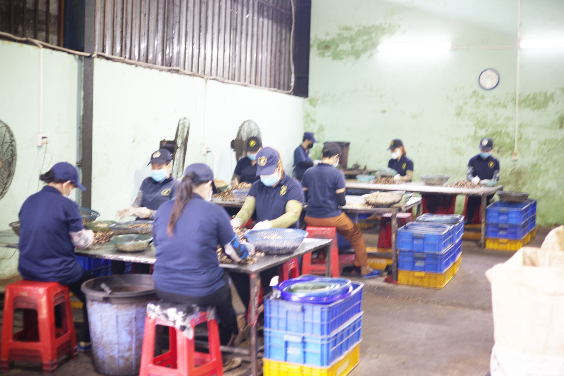 CUTTING AREA