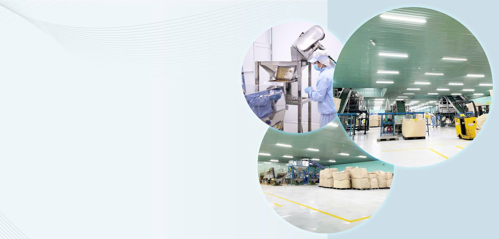 HOANG HA BP IMPORT AND EXPORT .,JSC